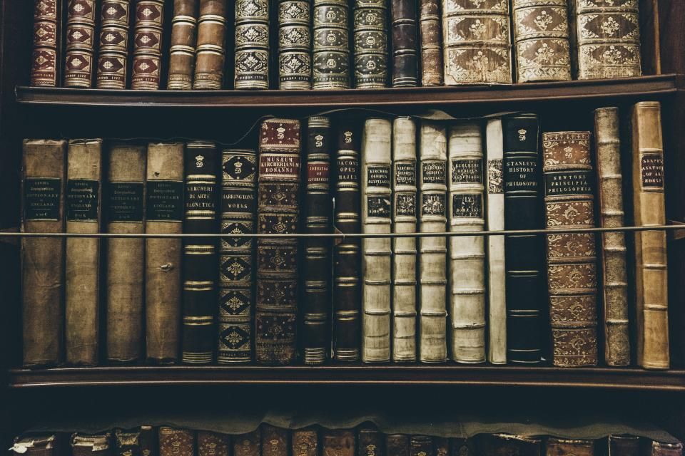 Shelves of old law books